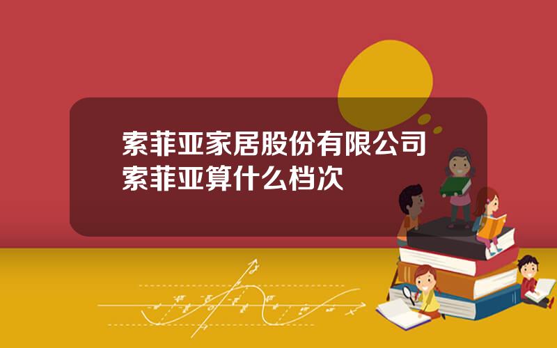 索菲亚家居股份有限公司 索菲亚算什么档次